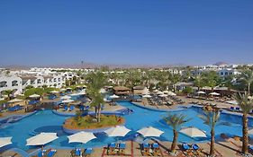 Jaz Sharm Dreams